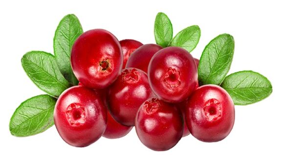 OCUVIT enthält en Extrakt aus Cranberry Beeren